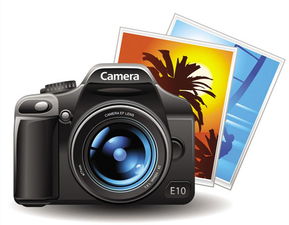 数码照相机,数码照相机是输入设备还是输出设备